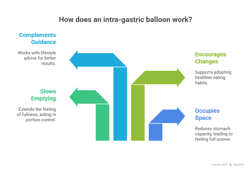 How Intra-Gastric Balloon Work